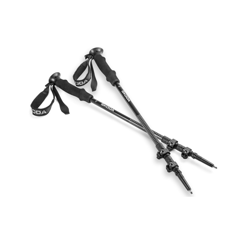 Teleskopinės ėjimo lazdos