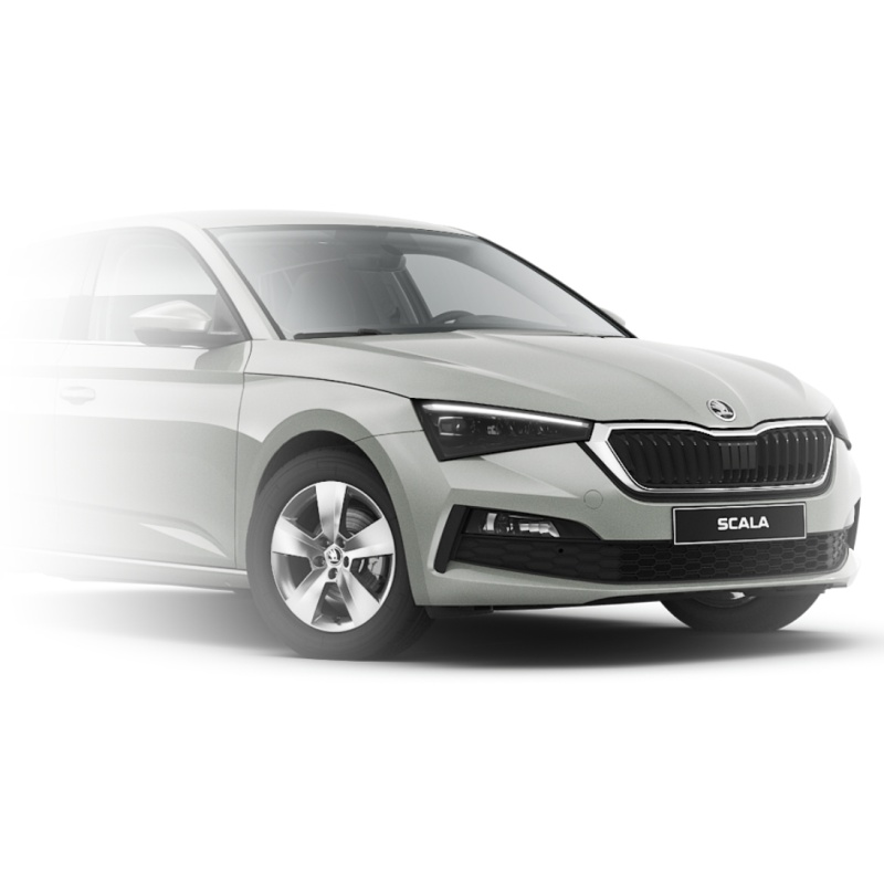 3T0050300  F7A_1.jpg