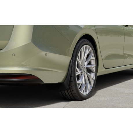 Purvasaugiai galiniai Superb STW IV 2024->