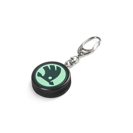 Raktų pakabukas(ledo rutulys)