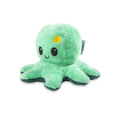 Pliušinis aštuonkojis