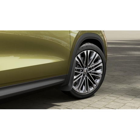 Purvasaugiai pr. Kodiaq 2025->