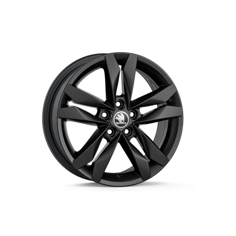 Ratlankis R16 Canis 6.0J × 16" ET45 juoda
